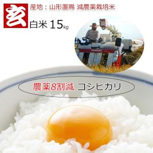 米 15kg 送料無料 コシヒカリ 農薬8割減・化学肥料不使用 山形県産 こしひかり白米 減農薬玄米 産年：令和5年 生産農家 小林 亮氏｜genmaiya-tarui