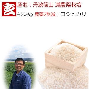 米 5kg 送料無料 農薬7割減栽培 1等米 減農薬米 コシヒカリ白米 産地：丹波篠山産 産年：令和5年 生産者：田渕真也｜genmaiya-tarui