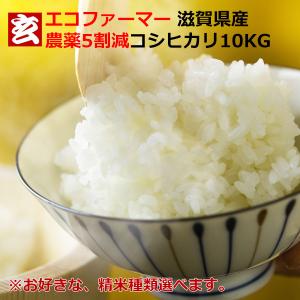 米 10kg 送料無料 精米選択可 農薬5割減 滋賀県産 コシヒカリ 玄米10kg 産年：令和5年産