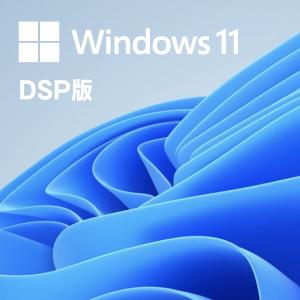 Windows 11 home 64bit DVD 日本語版 紙パッケージ (DSP版)