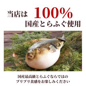 ふぐ ふぐ刺し 4皿 セット フグ 河豚 てっ...の詳細画像1