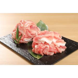 国産豚（モモ・ウデ）切落し　100ｇ