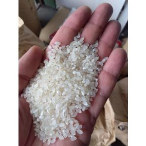 令和7年産 福島県産 ひとめぼれ 玄米30kg...の詳細画像1