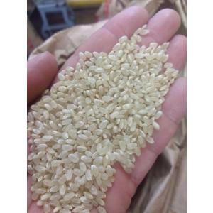 令和7年産 福島県産 ひとめぼれ 玄米30kg...の詳細画像2