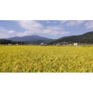 令和7年産 福島県産 ひとめぼれ 玄米30kg...の詳細画像4