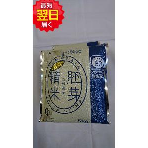 令和６年産　山形県はえぬき冬眠密着包装　はいが精米無洗米　20ｋｇ（5ｋｇ４個） 山形県 はえぬき 冬眠密着包装 はいが精米 無洗米 20kg（5kg4個