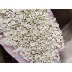 令和7年産 はれわたり 5kg 白米または玄米...の詳細画像1
