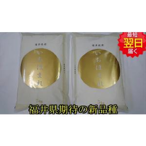 令和7年産 福井県 減農薬 いちほまれ 玄米 30kg(精米無料) 送料無料