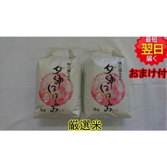 【令和５年産　新米】愛知県産　女神のほほえみ　白米　10kg　送料無料　※北海道、沖縄はプラス送料か...