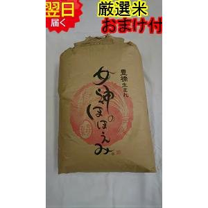 ブランド米　令和７年度『岐阜ハツシモ』新米 玄米(精米も可)　30kg　送料無料 ハツシモ 令和7年産 お米 特別栽培米 岐阜県産 玄米30Kg（10kg×3）分