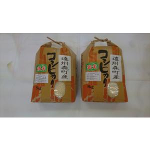令和7年産 福井県 減農薬 いちほまれ 玄米 30kg(精米無料) 送料無料