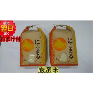 コシヒカリ 令和7年産 静岡県 森町産 減農薬 白米または玄米 10kg