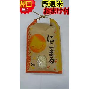 コシヒカリ 令和7年産 静岡県 森町産 減農薬 白米または玄米 10kg