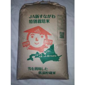 令和7年産 福井県 減農薬 いちほまれ 玄米 30kg(精米無料) 送料無料