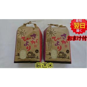 ７年産　佐賀県産　地域厳選　さがびより１０ｋｇ（５ｋｇ２個）白米または玄米　送料無料　