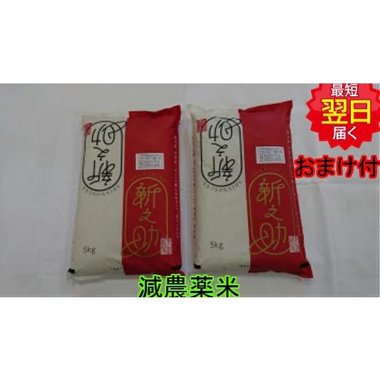 【令和７年産　新米】新潟県長岡産　新之助　減農薬米　白米または玄米　10kg　送料無料　※北海道、沖...