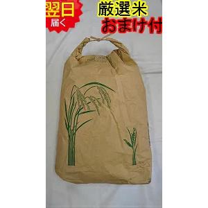 【令和5年産　新米】静岡県　地域厳選　コシヒカリ 玄米30kg(精米無料) 　送料無料 ※北海道、沖縄は追加送料かかります。｜厳選米本舗ヤフー店