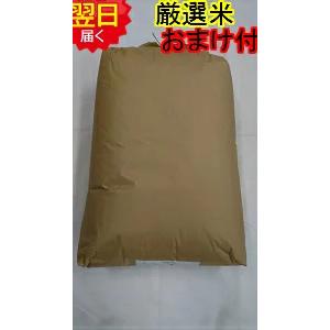 ミルキークイーン 令和7年産 静岡県 地域厳選 玄米30kg(精米無料 