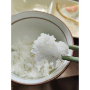 令和7年産 山形県 農薬8割減 化学肥料9割減...の詳細画像5