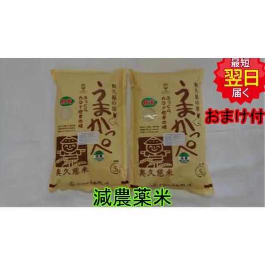 【令和5年産　新米】茨城県　うまかっぺ米　白米または玄米　10kg　送料無料　※北海道、沖縄はプラス...