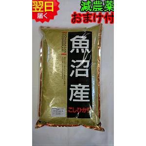 【令和５年産　新米】新潟県　魚沼産コシヒカリ 10kg(白米または玄米) 特別栽培　減農薬米 送料無...