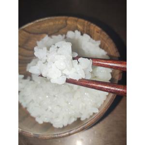 期間限定 特別価格 令和7年産 魚沼産コシヒカ...の詳細画像5