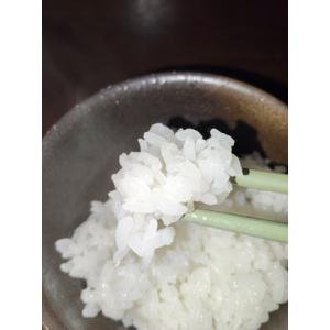 令和7年産 山形県産 雪若丸 減農薬米 5kg...の詳細画像4