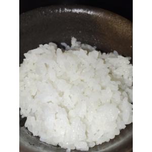 令和7年産 山形県産 雪若丸 減農薬米 5kg...の詳細画像5