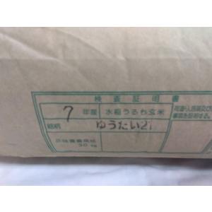 令和7年産 静岡県産 ゆうだい21 10kg ...の詳細画像2
