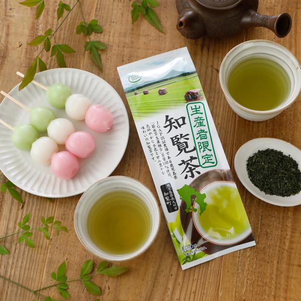 お茶 知覧茶 緑茶 日本茶 生産者限定 100g×12本【2026年3月頃リニューアル予定】