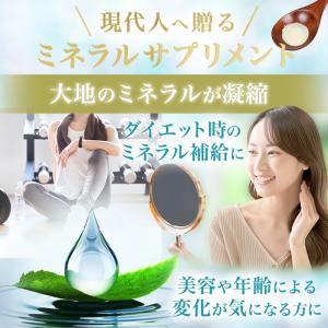 まとめ買いクーポン配布中 銀座まるかん おいし...の詳細画像1