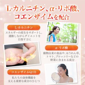 まとめ買いクーポン配布中 銀座まるかん ウルト...の詳細画像5