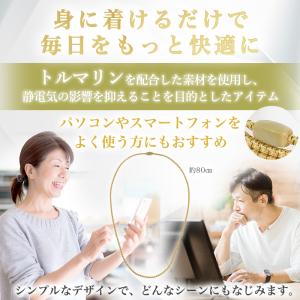 まとめ買いクーポン配布中 銀座まるかん びっく...の詳細画像1