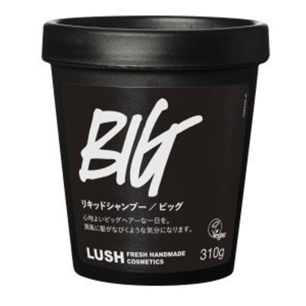 リキッドシャンプー LUSH ラッシュ Big ビッグ シャンプー 海藻 シーソルト 自然派化粧品 ...