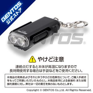 GENTOS（ジェントス） フラッシュライト 懐中電灯 led 充電 充電式