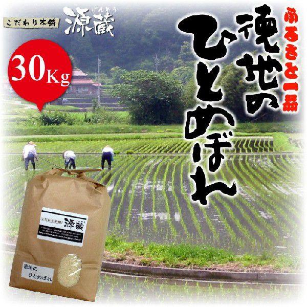 ひとめぼれ【徳地のひとめぼれ】令和5年度産 30Kg (10kg×3)精米（山口県徳地産米）