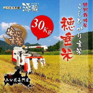 ひとめぼれ ひとめぼれ【徳地のひとめぼれ】令和7年度産 30Kg (10kg×3