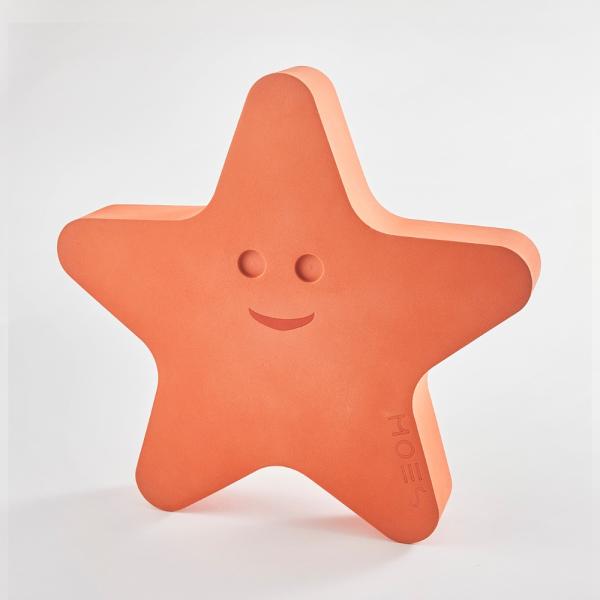 MOES(ムース) Starfish ラッピング不可 誕生日 プレゼント 入学祝い おもちゃ 2歳 ...