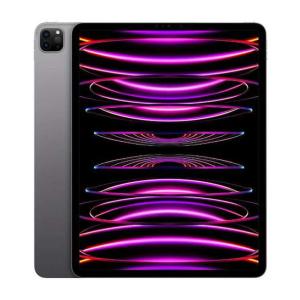 iPad Pro 11インチ 第4世代[512GB] セルラー au スペースグレ …