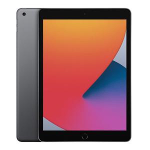iPad 10.2インチ 第8世代[128GB] セルラー docomo スペースグ …
