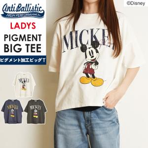 anuke アンヌーク レイヤード シアー ロングTシャツ : GEOGRAPHY