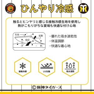 夏用 ひんやり 冷感 マスク 阪神タイガース ...の詳細画像1
