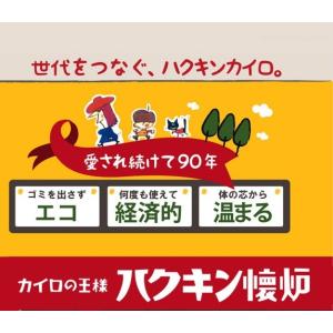 ハクキンカイロ ハクキンウォーマー ミニ 1個...の詳細画像3