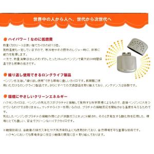 ハクキンカイロ ハクキンウォーマー ミニ 1個...の詳細画像4