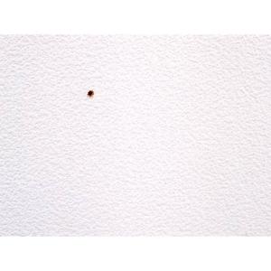 クロスの穴うめ材スーパー 建築の友 〈 クロス...の詳細画像2