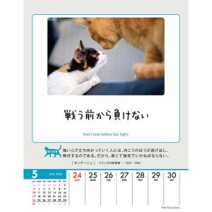 CL-384 人生はニャンとかなる! 卓上/壁...の詳細画像4