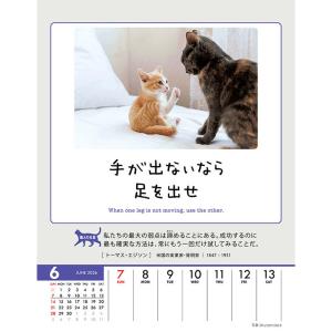 CL-384 人生はニャンとかなる! 卓上/壁...の詳細画像5