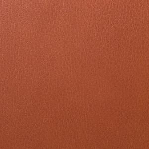 DI-NOC ダイノックフィルム　LE-2782