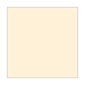 PAROI パロア　PNU-055