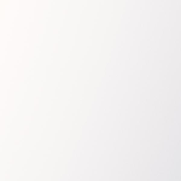 DI-NOC ダイノックフィルム　PS-001AR